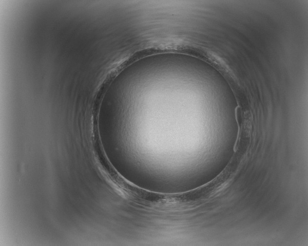 X0000067480589200604281922