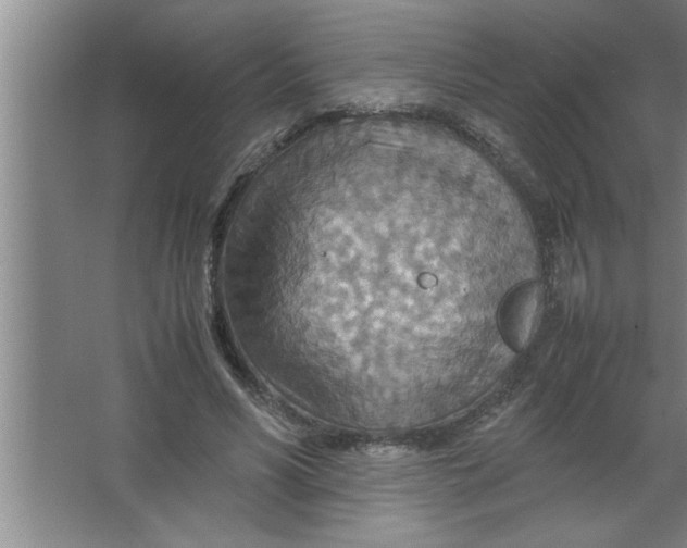 X0000067480590200604281922