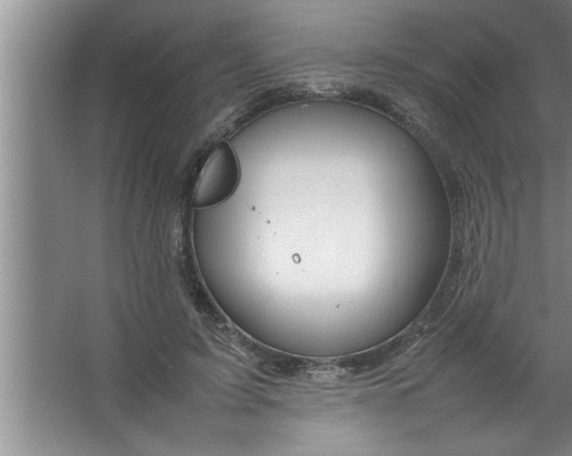 X0000067480595200604281922