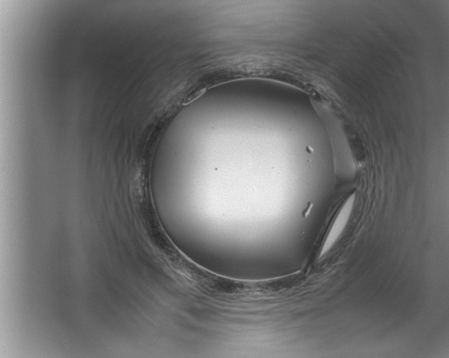 X0000067480597200604281922