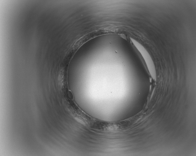 X0000067480600200604281922