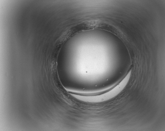 X0000067480601200604281922