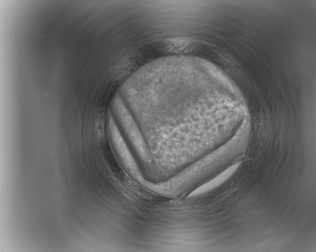 X0000067480602200604281922