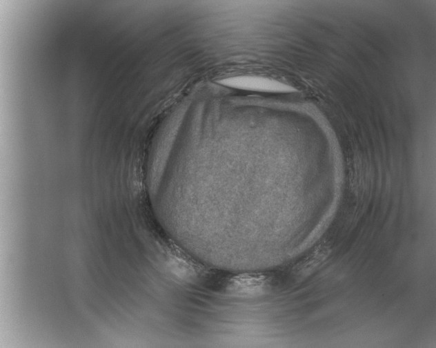 X0000067480606200604281922