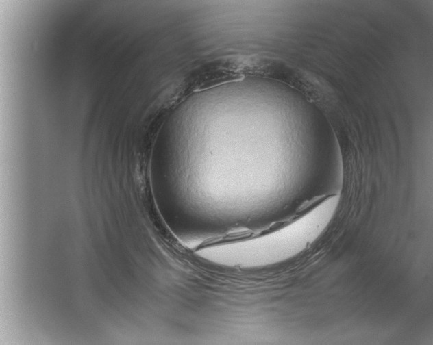 X0000067480607200604281922