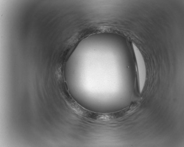 X0000067480611200604281922