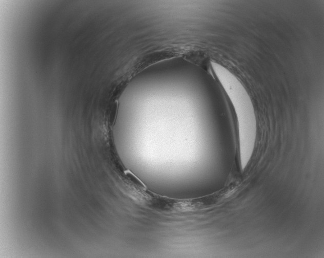 X0000067480613200604281922