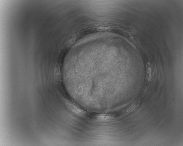 X0000067480614200604281922