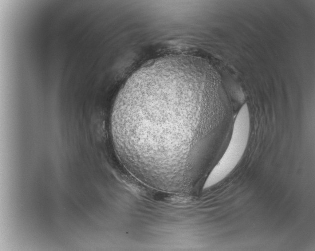 X0000067480615200604281922