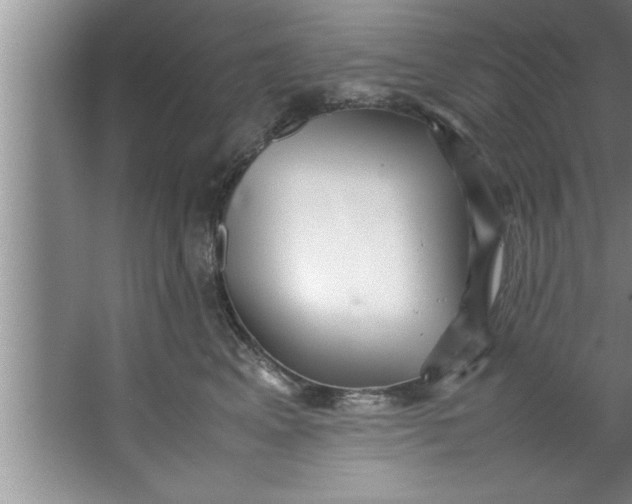 X0000067480617200604281922