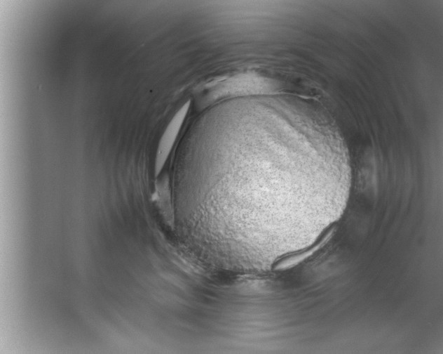 X0000067480620200604281922