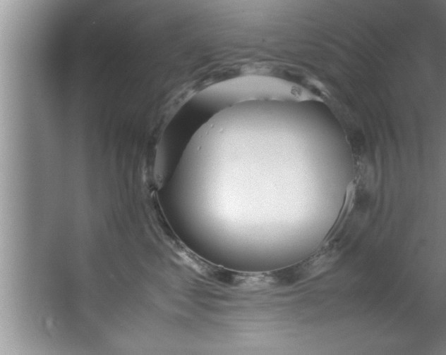 X0000067480621200604281922