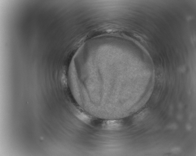 X0000067480622200604281922