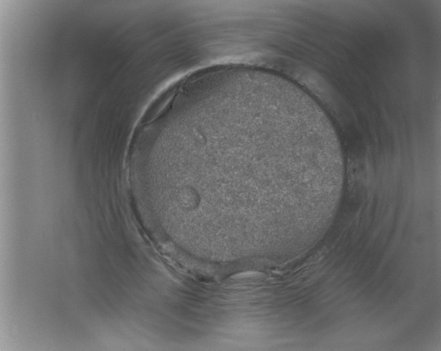 X0000067480628200604281921