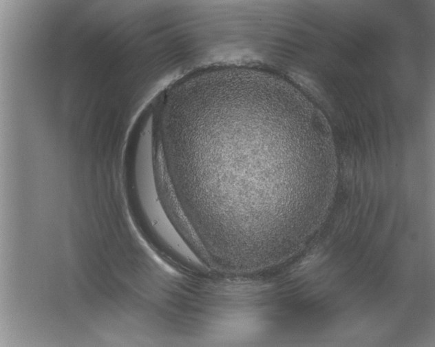 X0000067480630200604281921