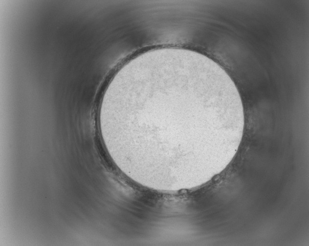 X0000067480632200604281921