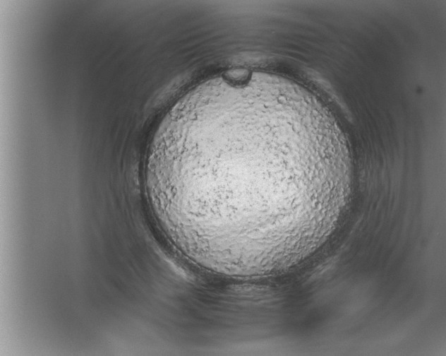 X0000067480633200604281921