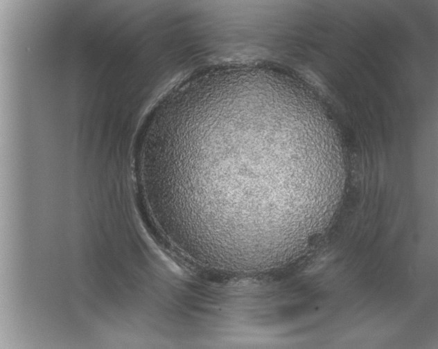 X0000067480634200604281921