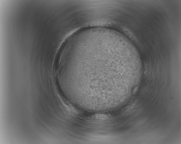 X0000067480636200604281921