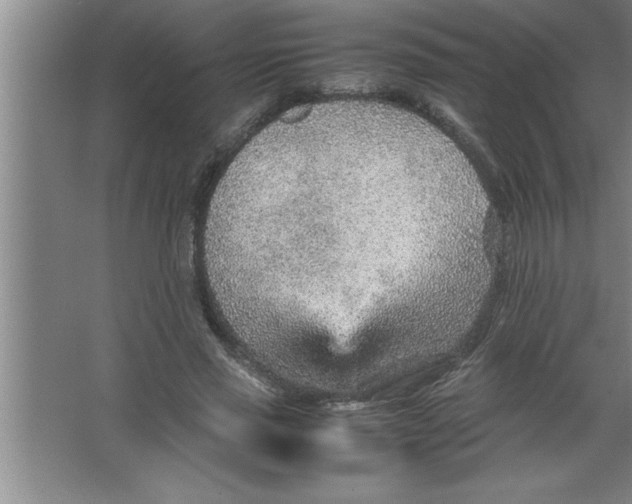 X0000067480637200604281921