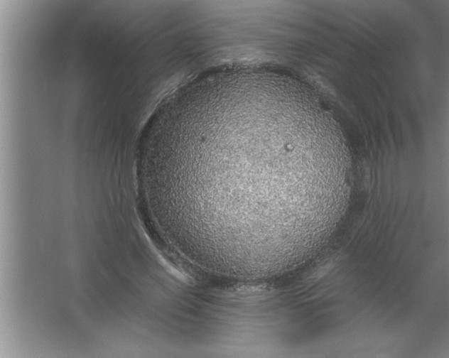 X0000067480638200604281921