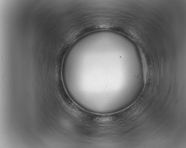 X0000067480639200604281921