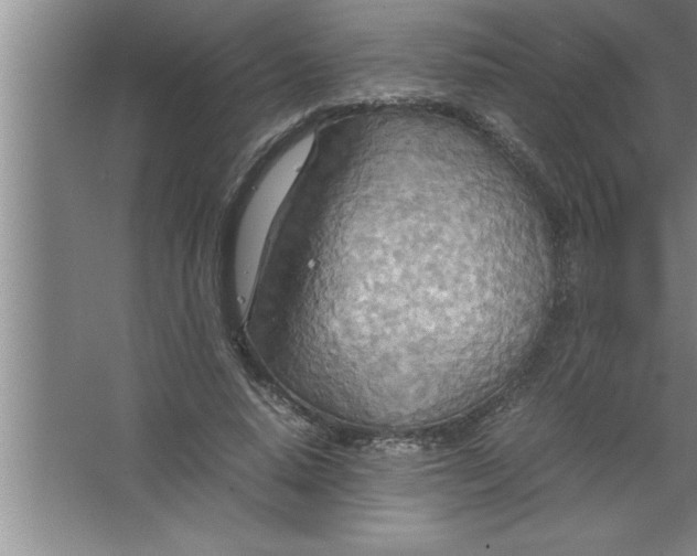 X0000067480640200604281921