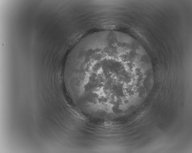 X0000067480641200604281921