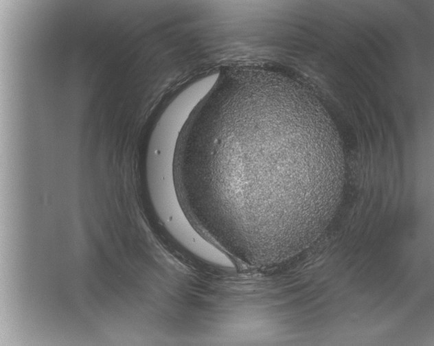 X0000067480642200604281921