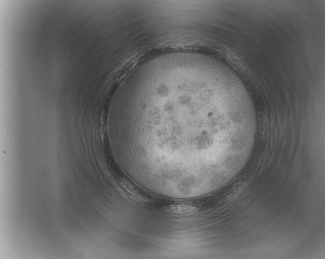 X0000067480644200604281921