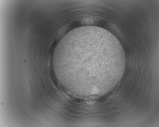 X0000067480645200604281921