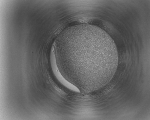 X0000067480646200604281921