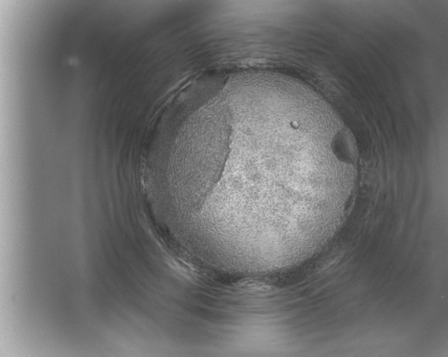 X0000067480648200604281921