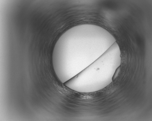 X0000067480649200604281921