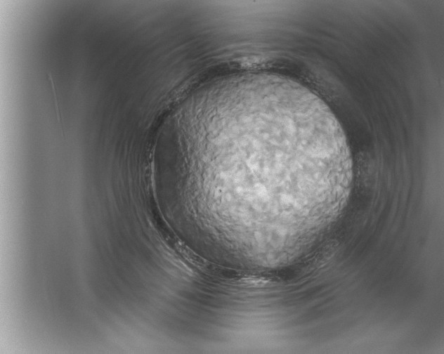 X0000067480650200604281921