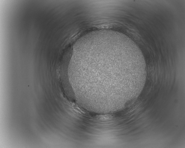 X0000067480652200604281921