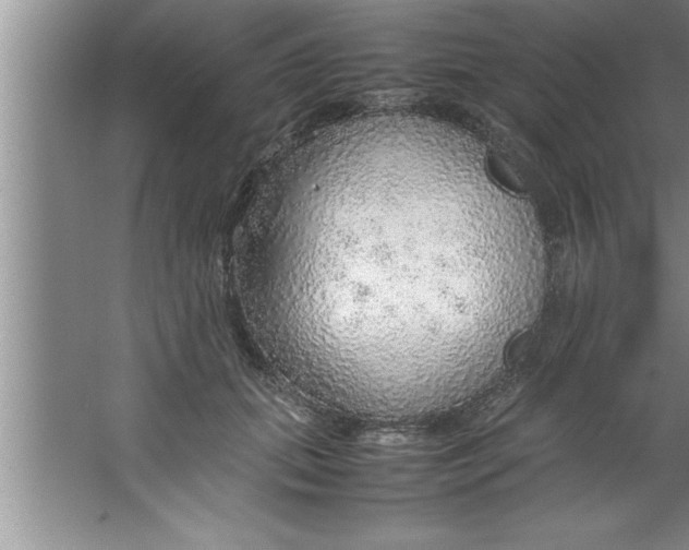 X0000067480655200604281921