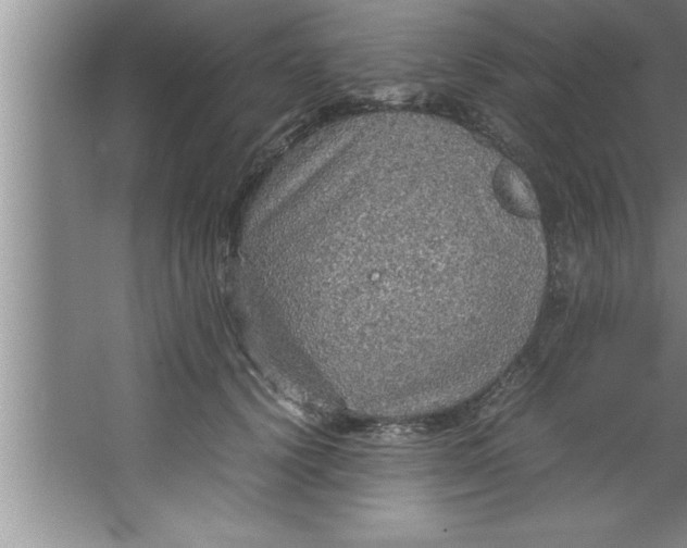 X0000067480656200604281921