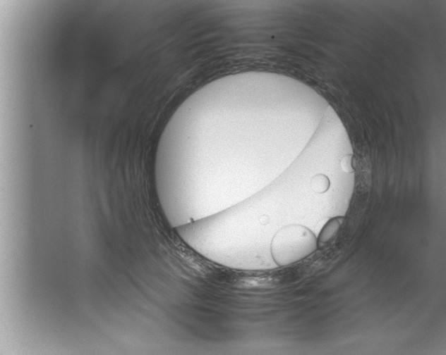 X0000067480657200604281921