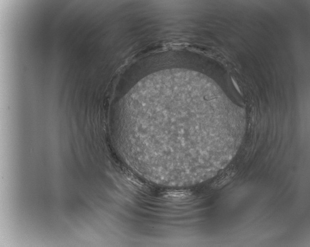 X0000067480659200604281921