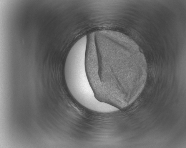 X0000067480660200604281921