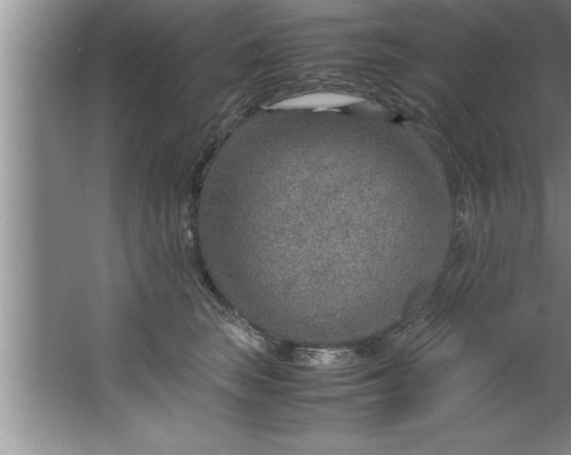 X0000067480663200604281921