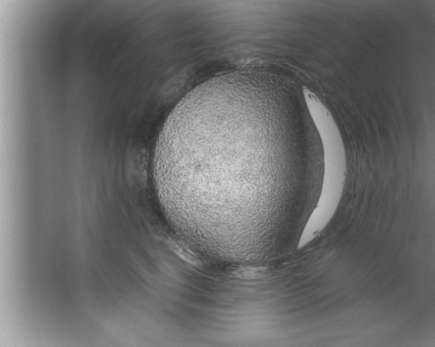 X0000067480664200604281921