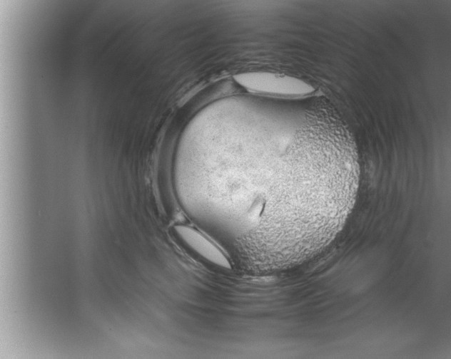 X0000067480665200604281921