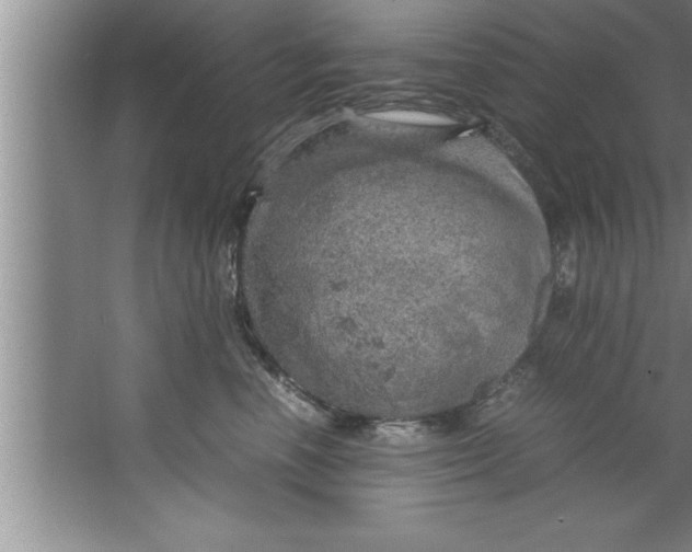 X0000067480666200604281921