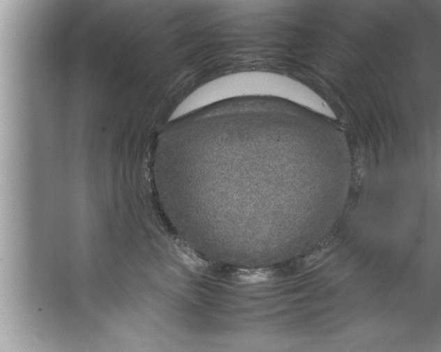 X0000067480667200604281921