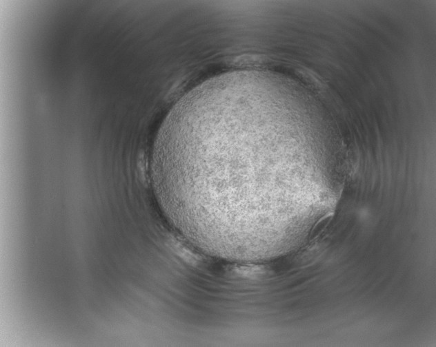 X0000067480669200604281921