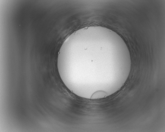 X0000067480672200604281922