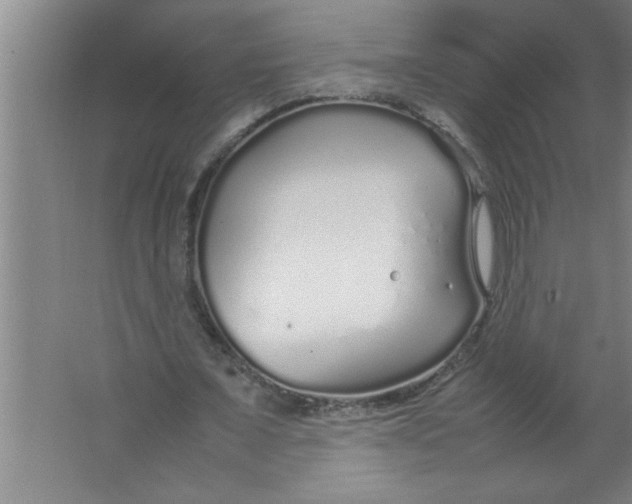 X0000067480675200604281921