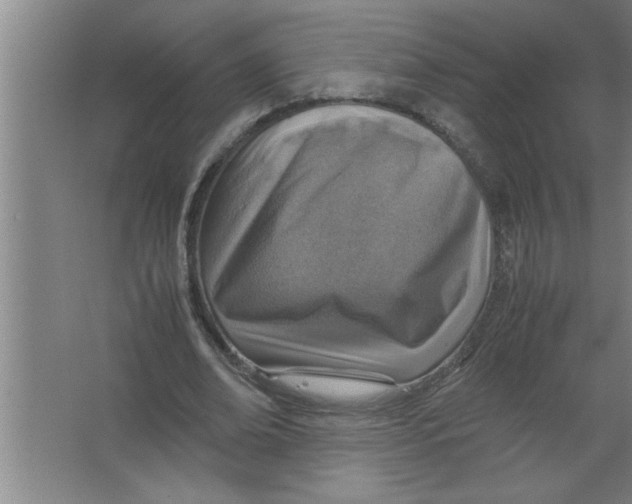 X0000067480678200604281921